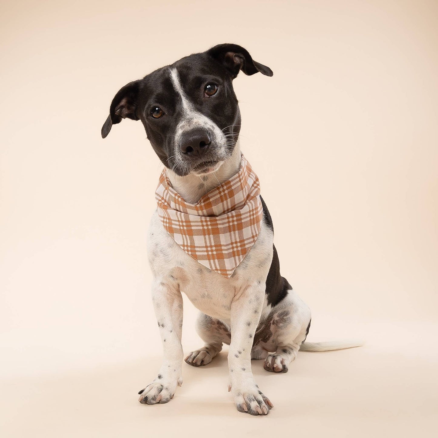 hondenbandana met geruit patroon Gemberkleur