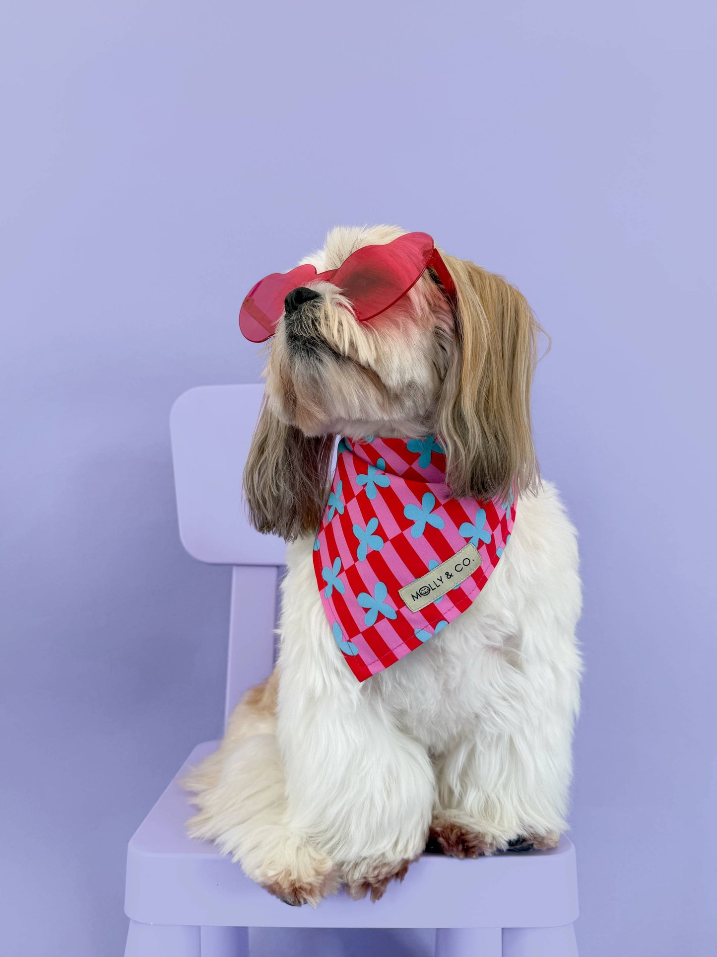Supernova Bandana (Omkeerbaar) - Molly & Co.