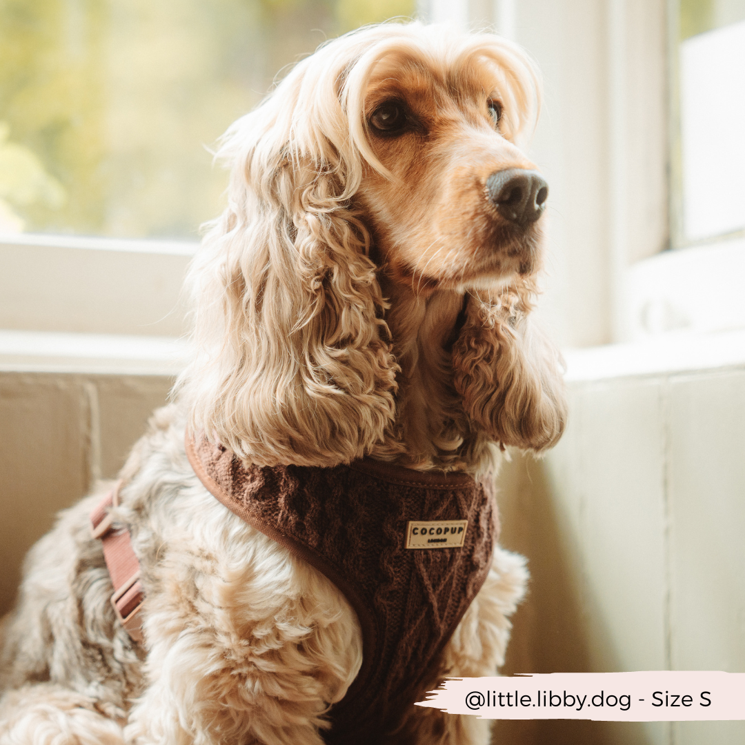 Kabel gebreidt harnas Choco - Cocopup London