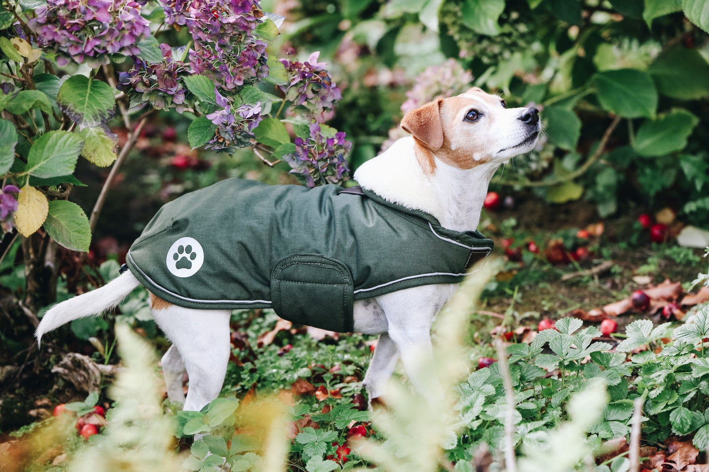 Hondenjas Waterproof – Groen 300G