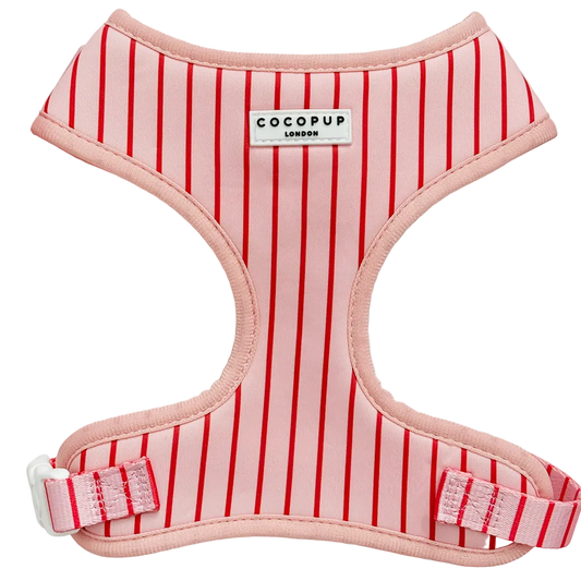 Candy Stripe harnas