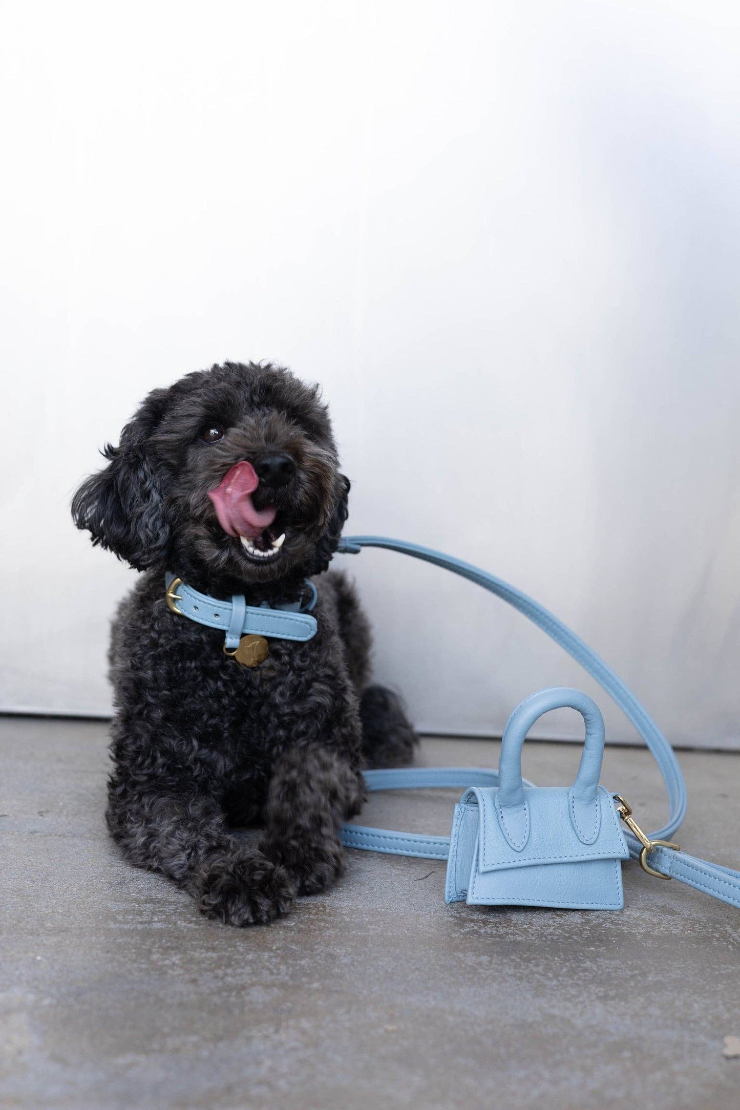 The Dog Musthaves - The Dog Musthaves designer beloningstasje voor hondenkoekjes en poepzakdispenser - lichtblauw