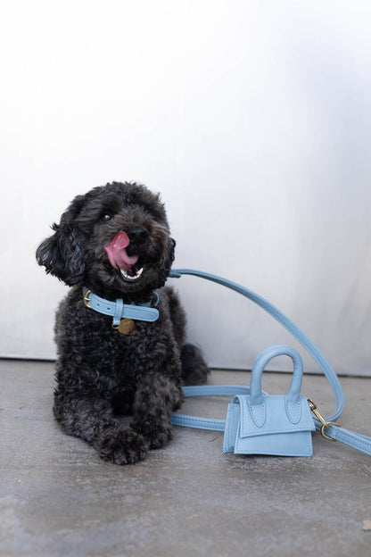 The Dog Musthaves - The Dog Musthaves designer beloningstasje voor hondenkoekjes en poepzakdispenser - lichtblauw