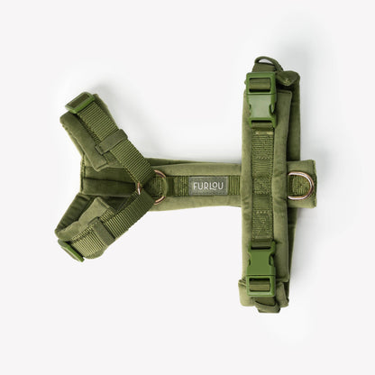 Fluwelen Hondenharnas Groen - Furlou
