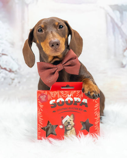 Honden Treat Christmas Selection Box