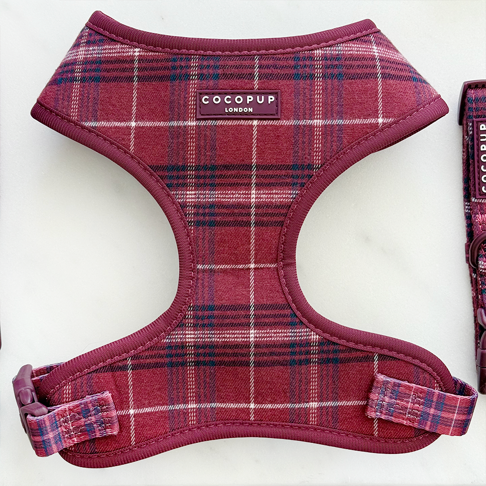 Mulberry Ruit Harnas - Cocopup London