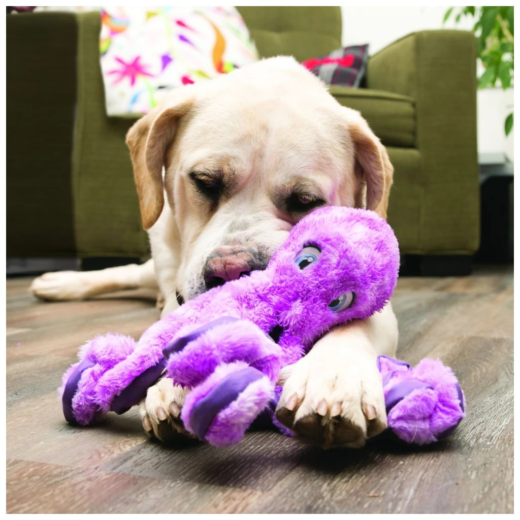 KONG SoftSeas Octopus