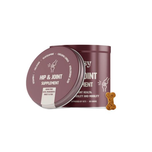 Hip & Joint Supplement – Supplement van Gutsy | Hondenboetiek