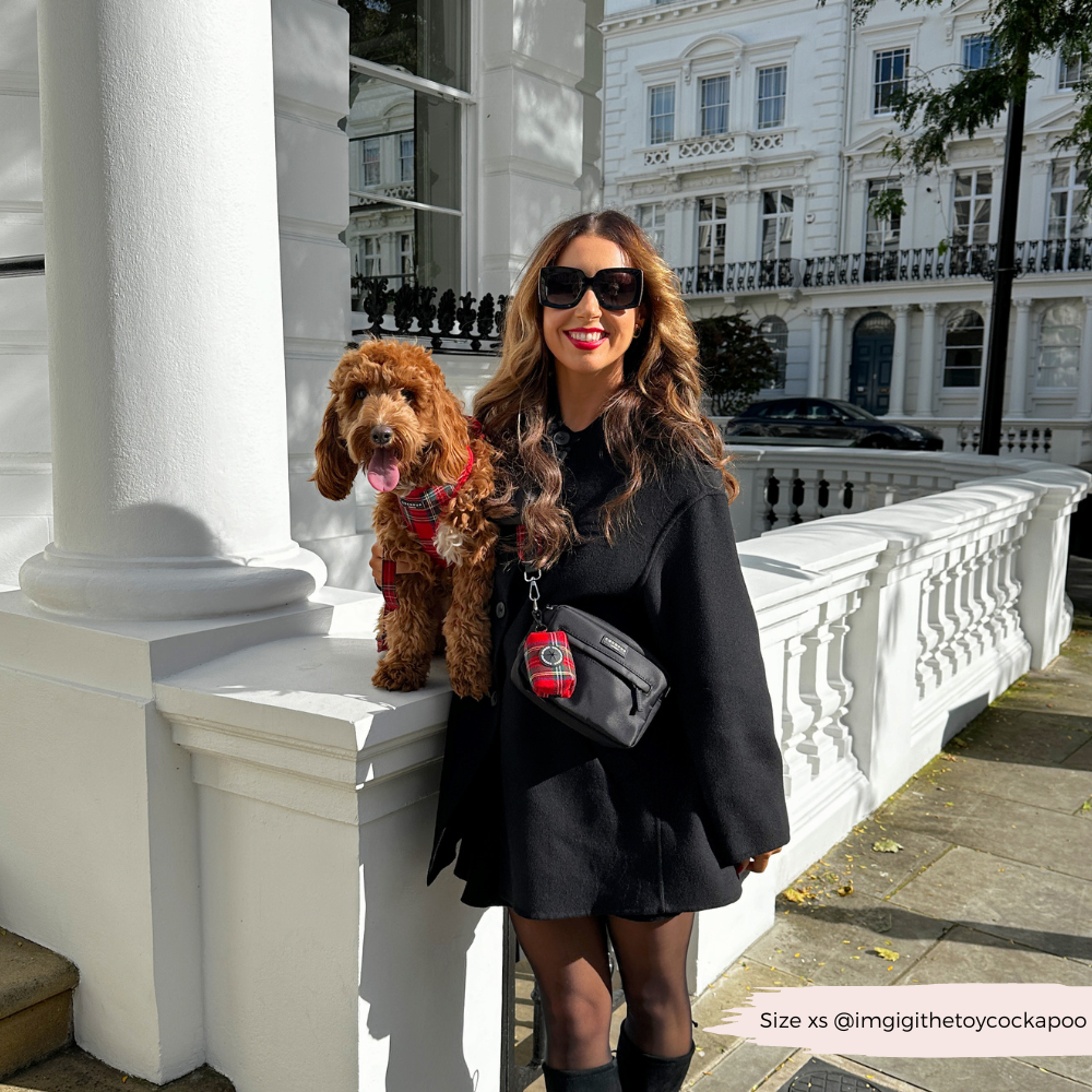 Tartan Rood Harnas - Cocopup London