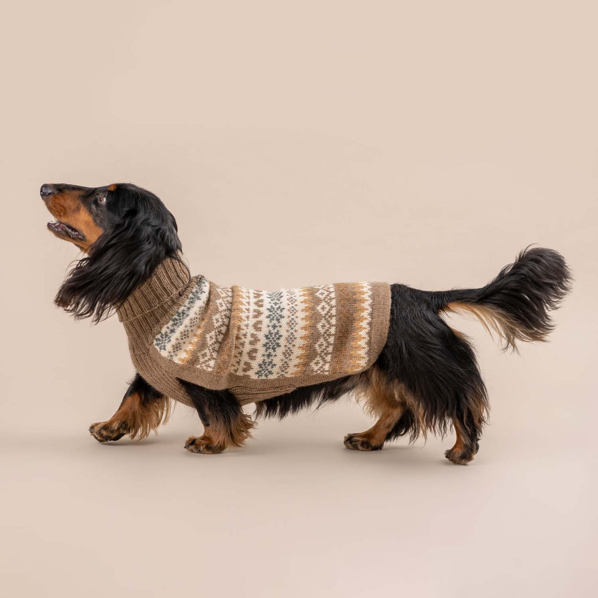 Alqo Wasi - Herfstmedley alpaca trui