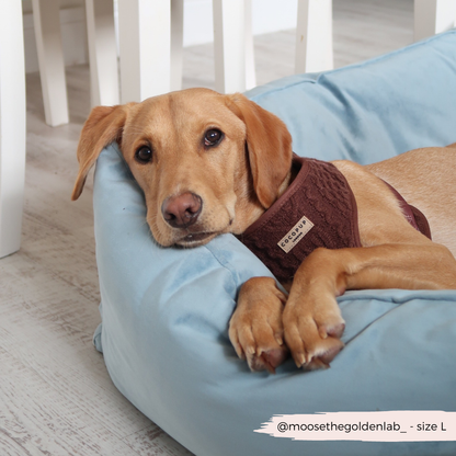 Kabel gebreidt harnas Choco - Cocopup London