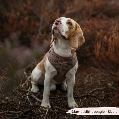 Harnas Pup Plaid - Cocopup London