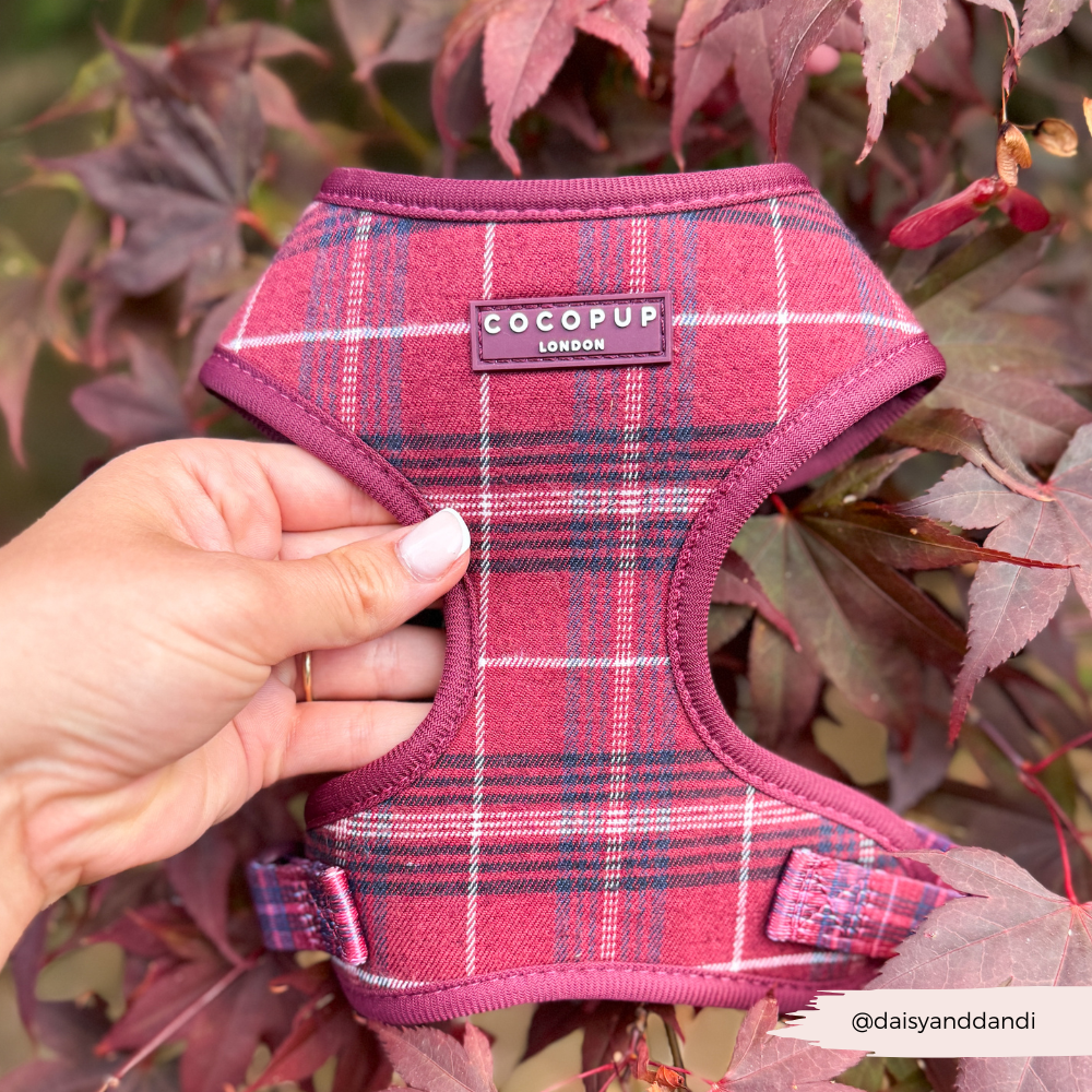 Mulberry Ruit Harnas - Cocopup London