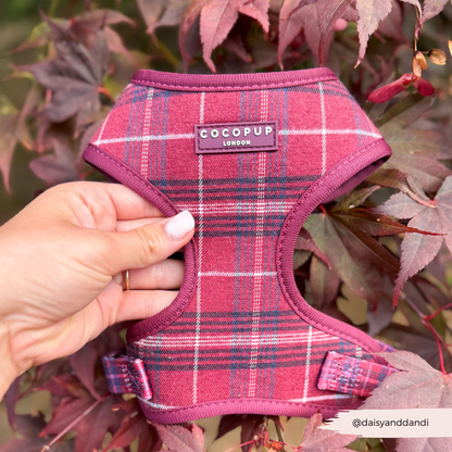 Mulberry Ruit Harnas - Cocopup London