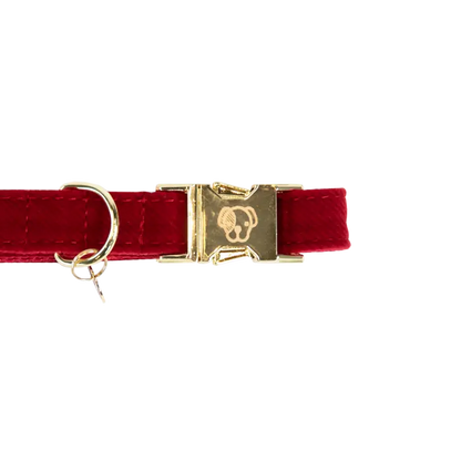 Halsband corduroy rood