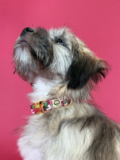 Gummy Bears Halsband XS - Molly & Co.