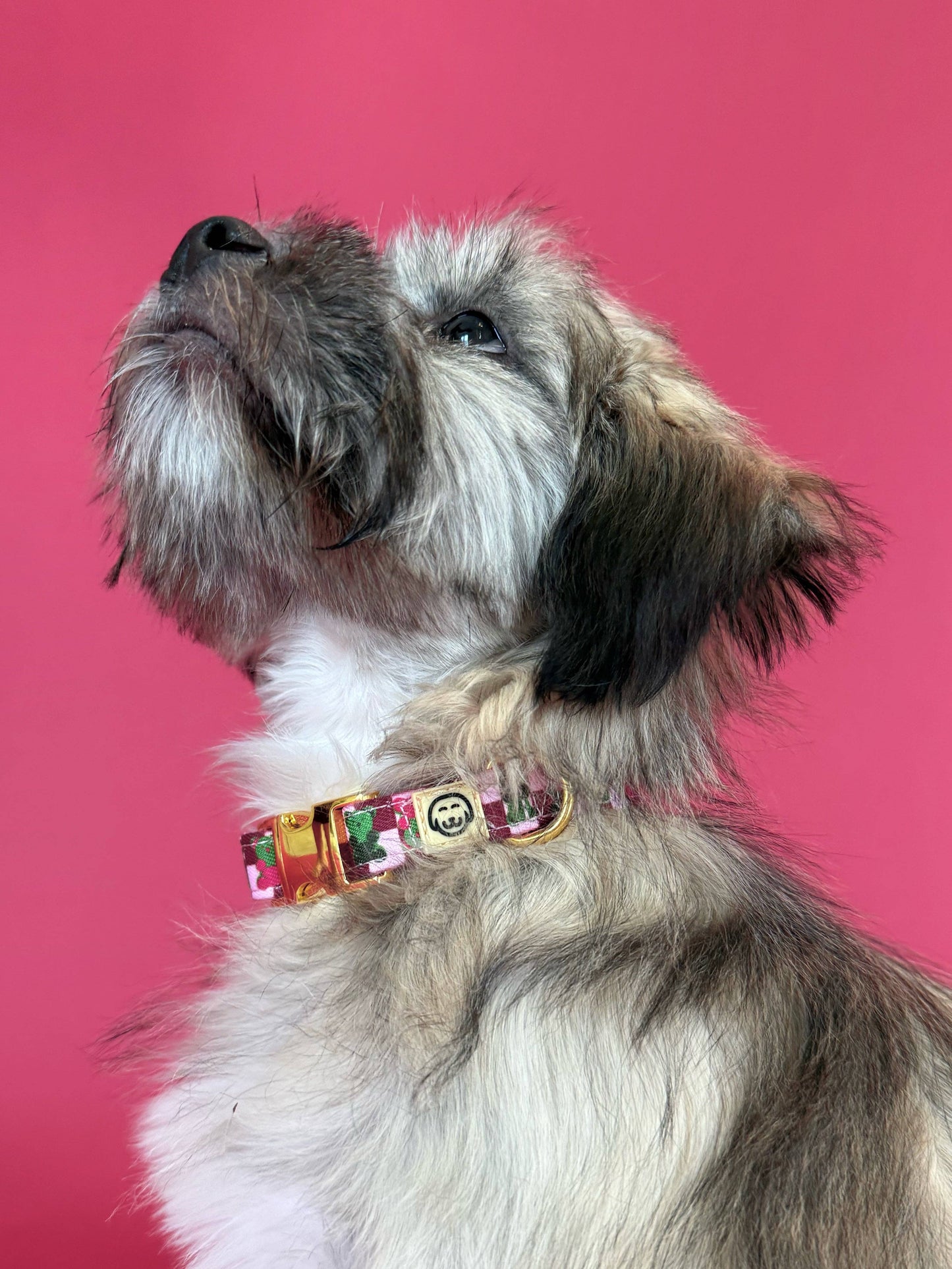 Gummy Bears Halsband S - Molly & Co.