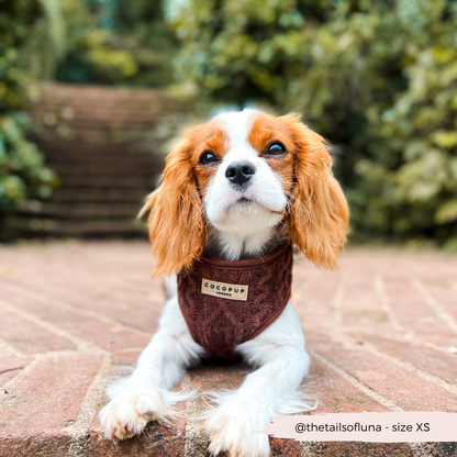 Kabel gebreidt harnas Choco - Cocopup London