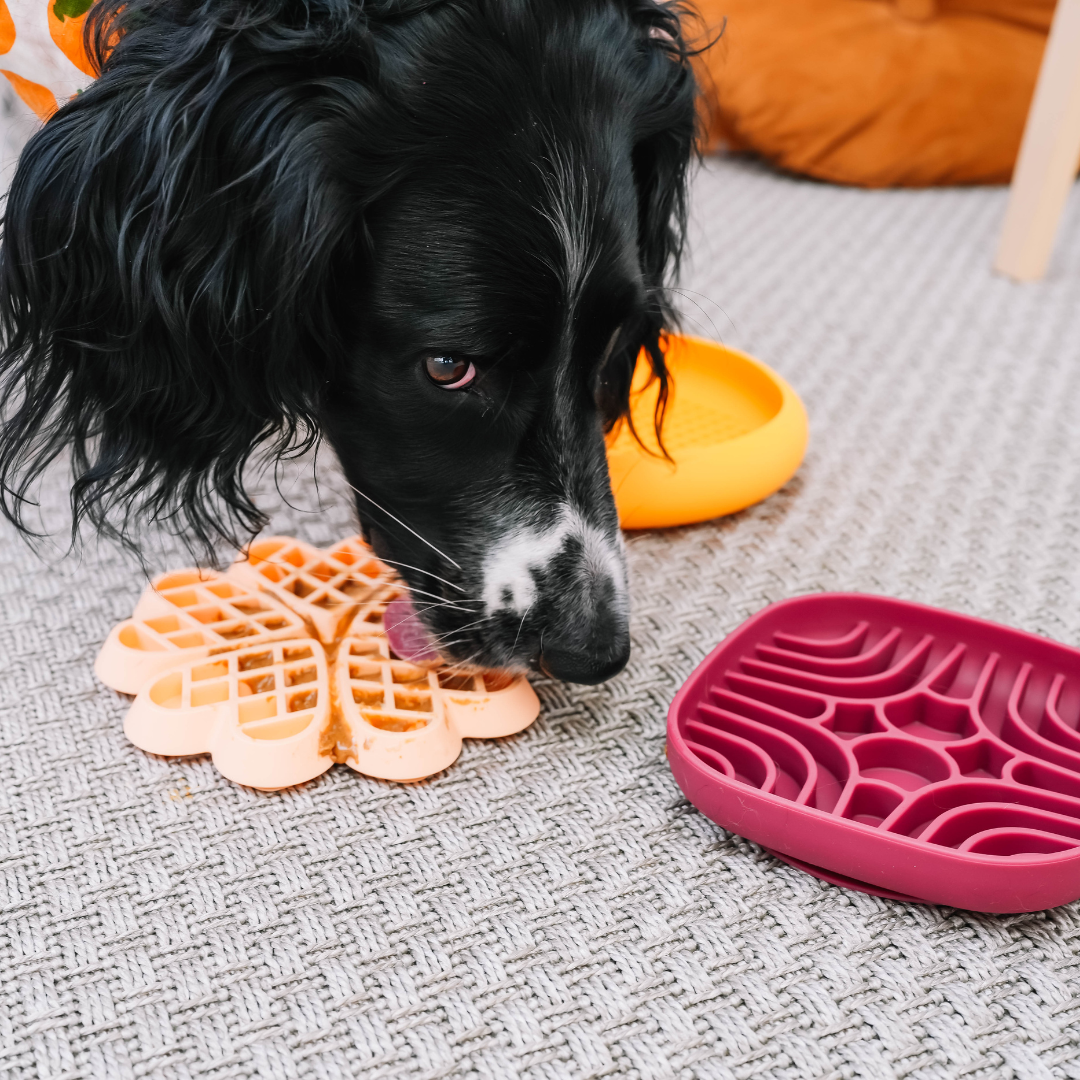 De Mini Maze Lickmat - Bourgogne