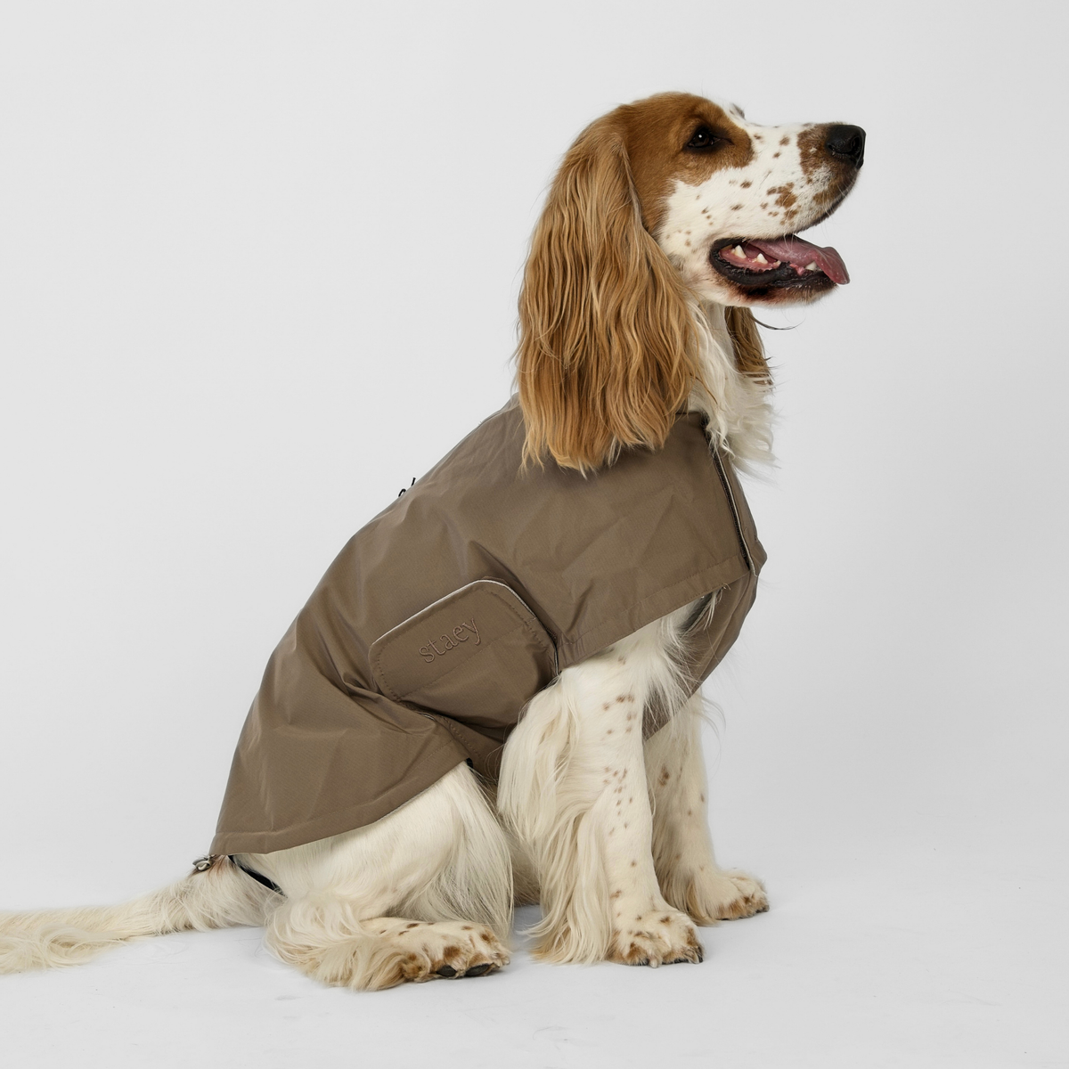 Staey - Taja hondenregenjas | taupe – Kleding van Staey | Hondenboetiek (afbeelding 3)