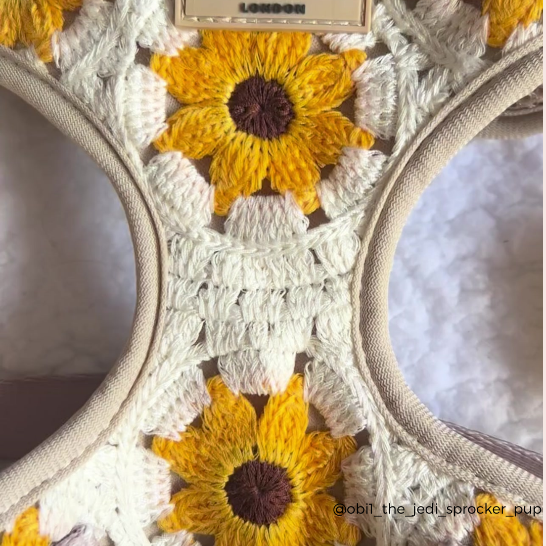 Sunflower Patch Harnas - Cocopup London