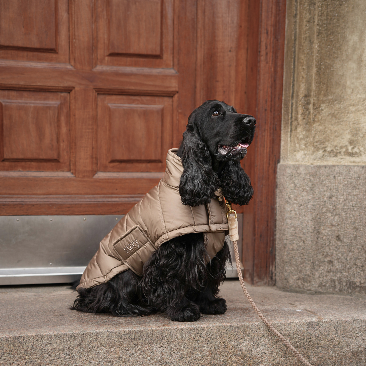 Staey - Dog Coat Nora in taupe