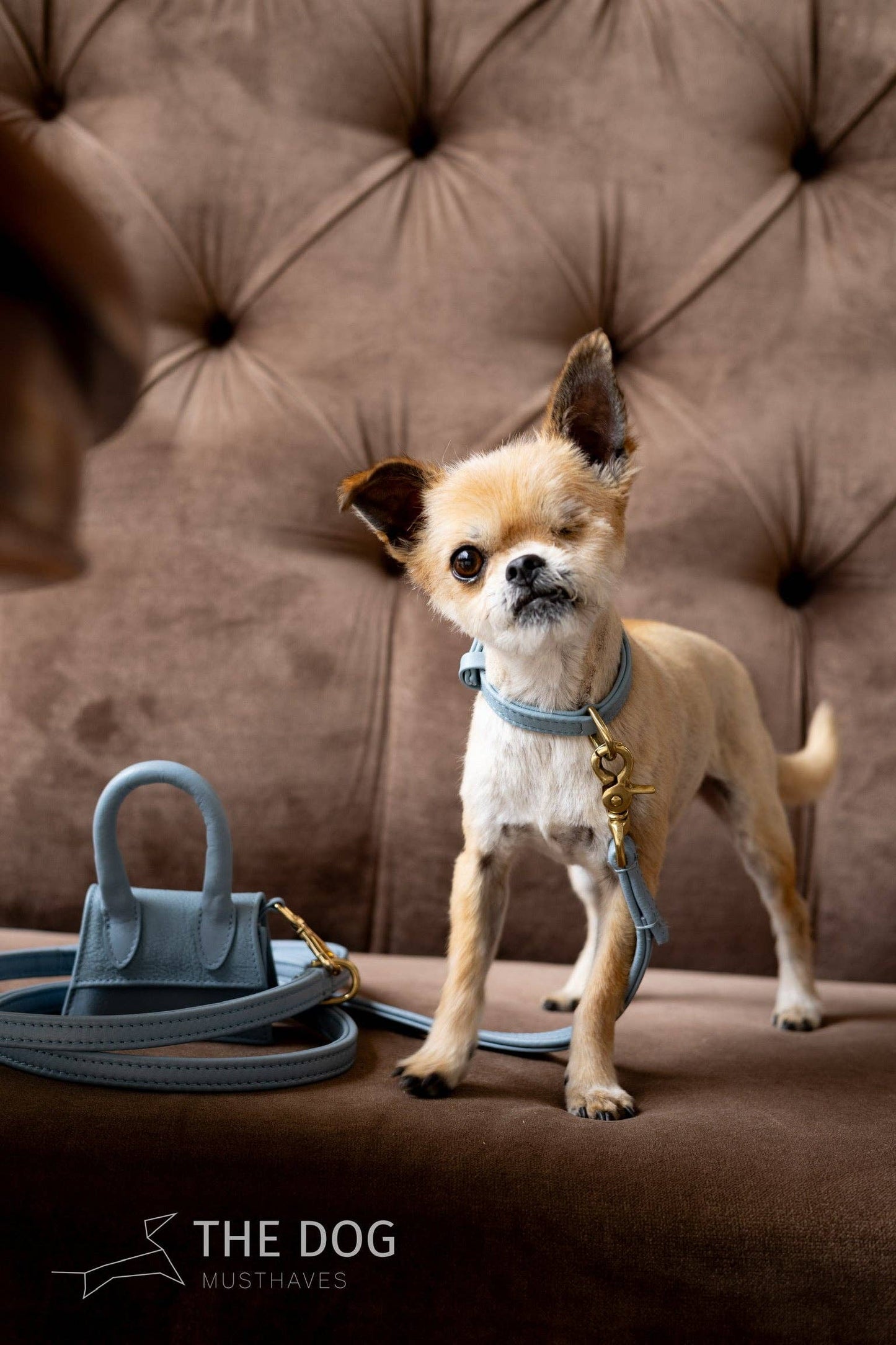 The Dog Musthaves - The Dog Musthaves designer beloningstasje voor hondenkoekjes en poepzakdispenser - lichtblauw