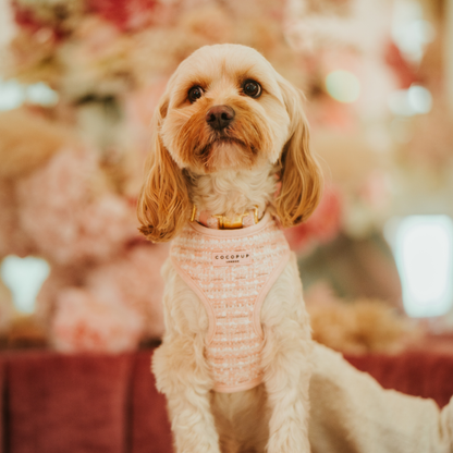 Tweed Halsband Roze - Cocopup London