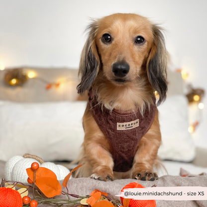 Kabel gebreidt harnas Choco - Cocopup London