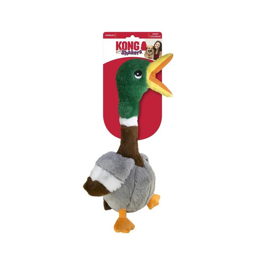 KONG SHAKERS EEND