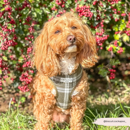 Olijfgroene Plaid Harnas - Cocopup London