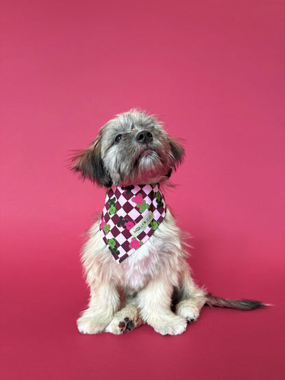 Gummy Bears Bandana (Omkeerbaar) - Molly & Co.