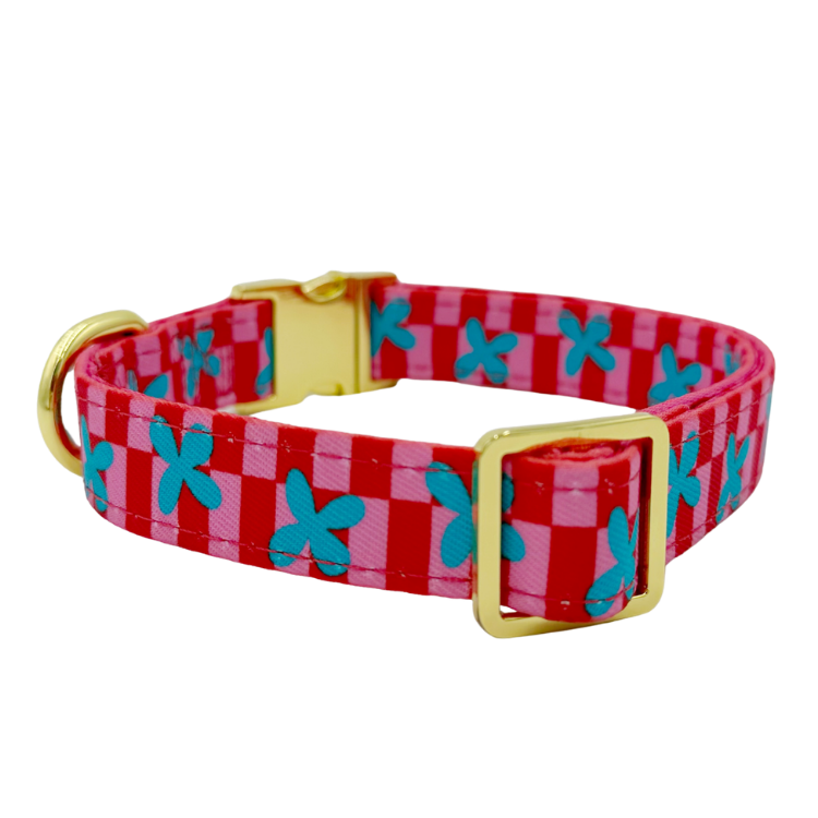 Supernova Hondenhalsband - Molly & Co – Halsband van Molly & Co. | Hondenboetiek (afbeelding 2)
