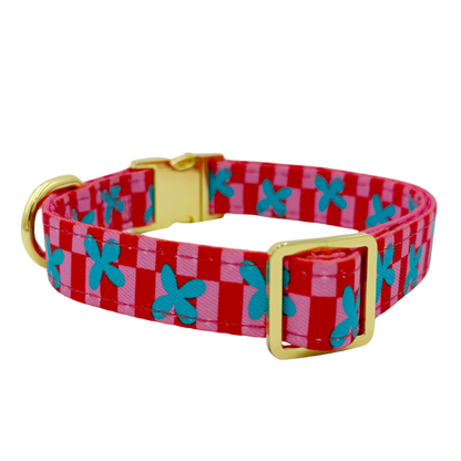 Supernova Hondenhalsband - Molly & Co – Halsband van Molly & Co. | Hondenboetiek (afbeelding 2)