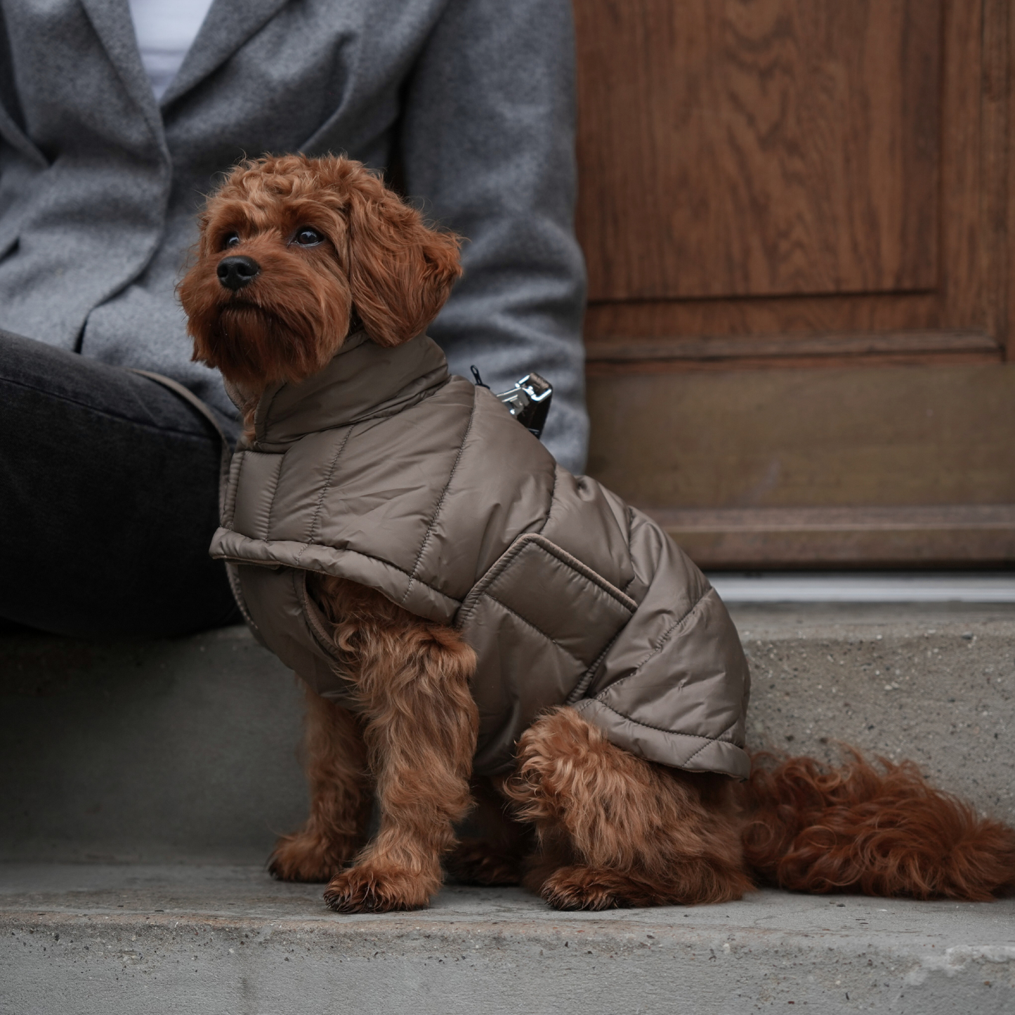 Staey - Dog Coat Nora in taupe