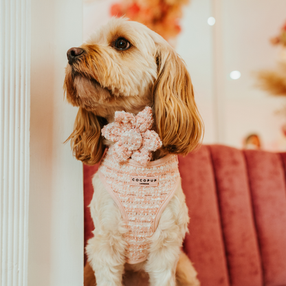 Tweed Roze Harnas - Cocopup London