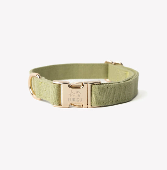 Canvas Hondenhalsband — Groen
