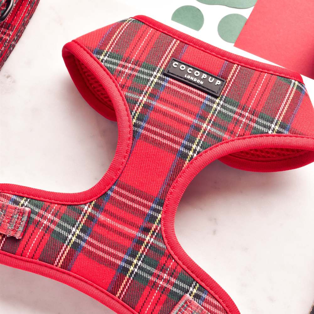 Tartan Rood Harnas - Cocopup London