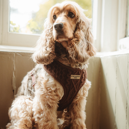 Kabel gebreidt harnas Choco - Cocopup London