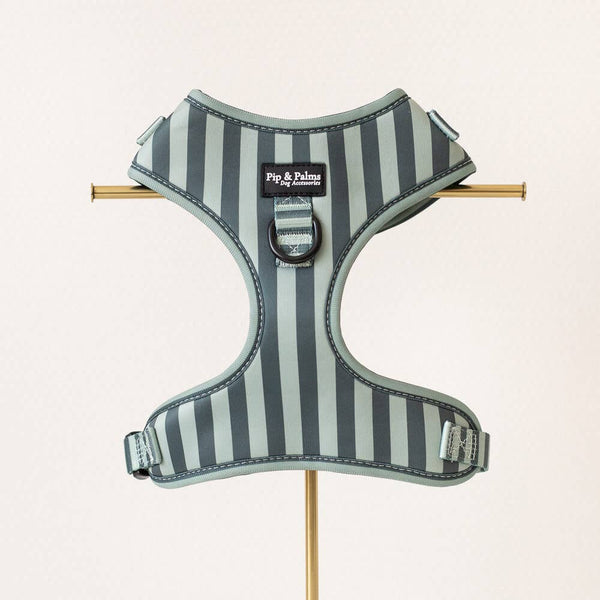 Harnas Stripy Stripes