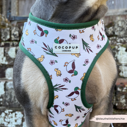 Harnas Eend - Cocopup London
