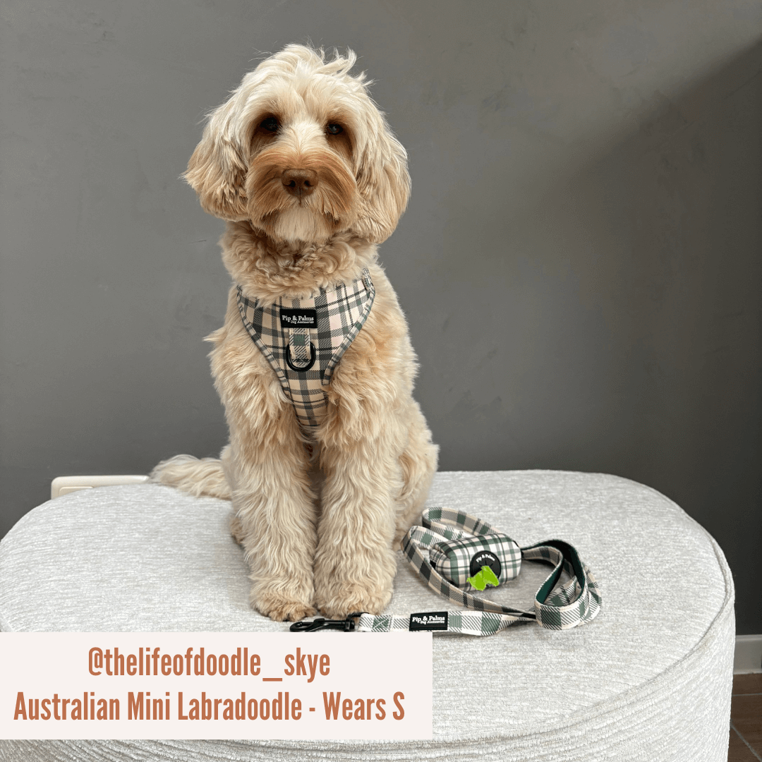 Harnas Perfect Picnic