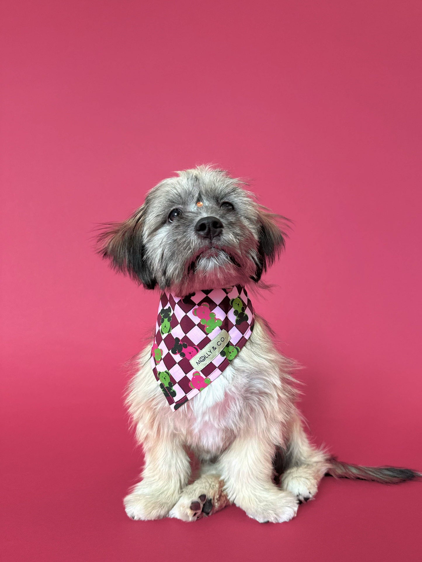 Gummy Bears Bandana (Omkeerbaar) - Molly & Co.