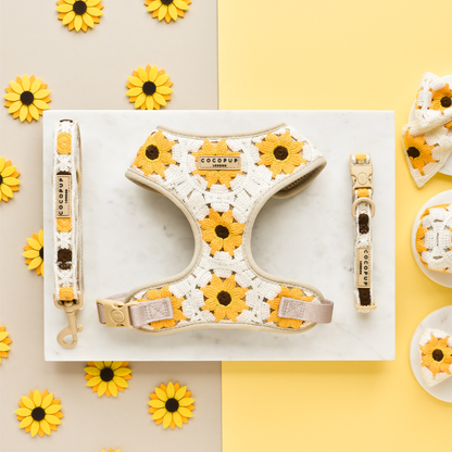 Sunflower Patch Harnas - Cocopup London