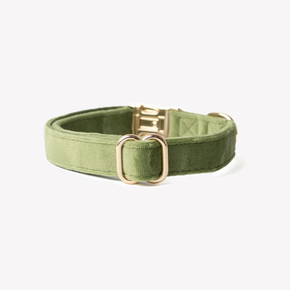 Furlou - 'Groene' - Fluwelen Hondenhalsband