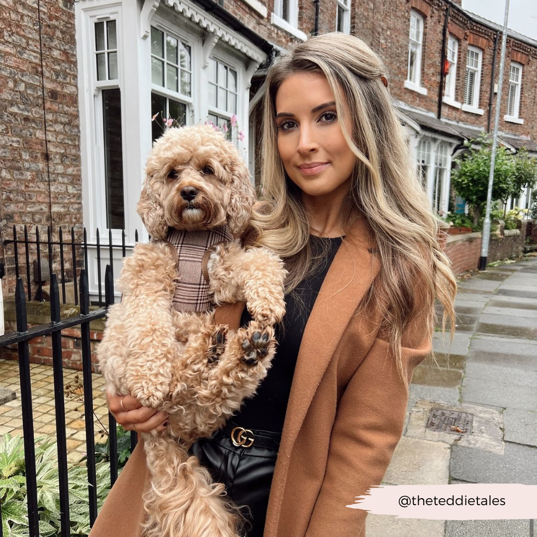 Harnas Pup Plaid - Cocopup London