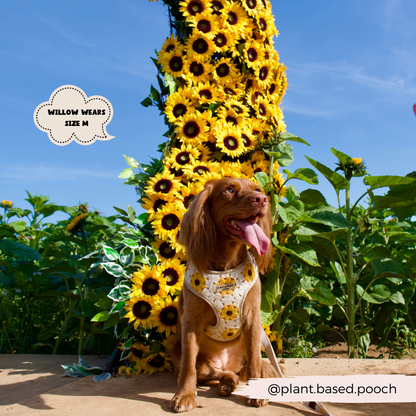 Sunflower Patch Harnas - Cocopup London
