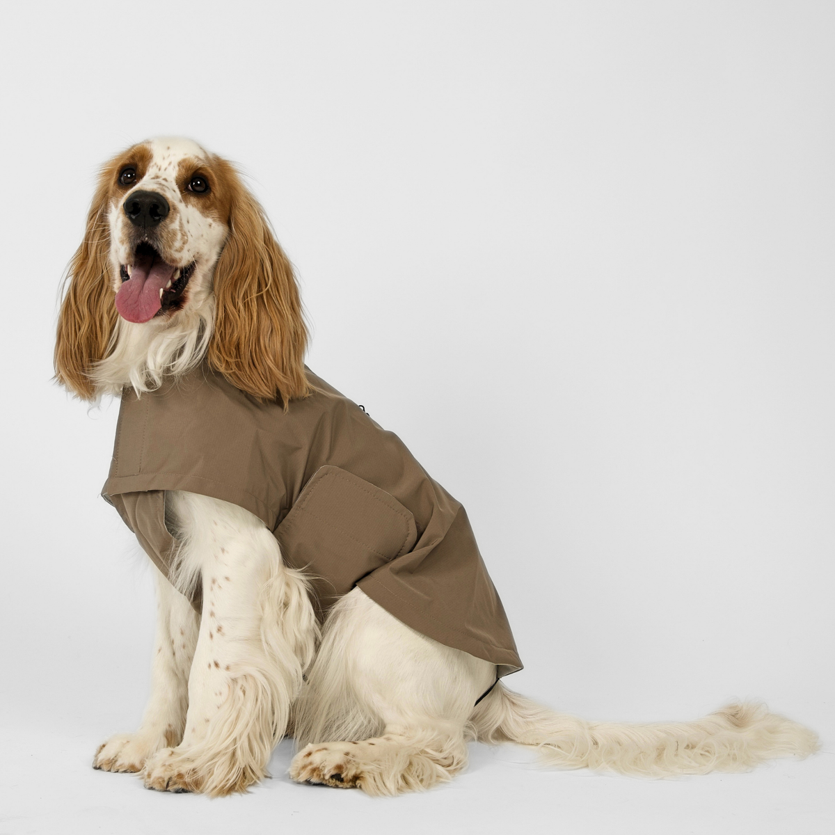 Staey - Taja hondenregenjas | taupe – Kleding van Staey | Hondenboetiek (afbeelding 2)