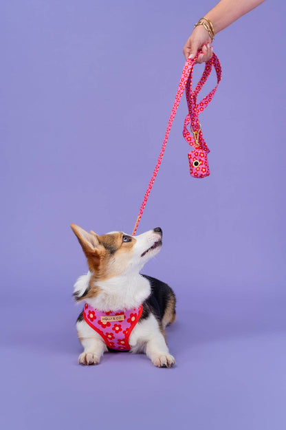 Wildflower Leiband - Molly & Co.