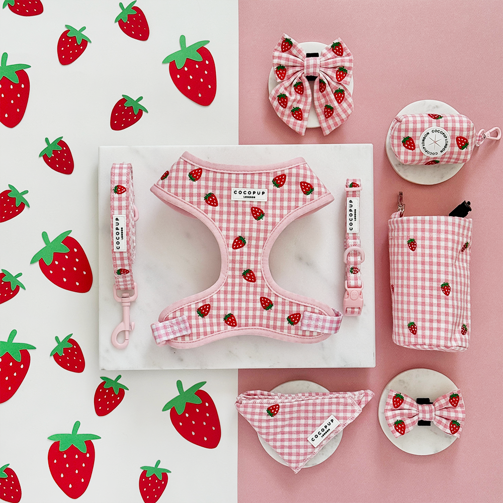 Aardbeien Picknick Harnas - Cocopup London